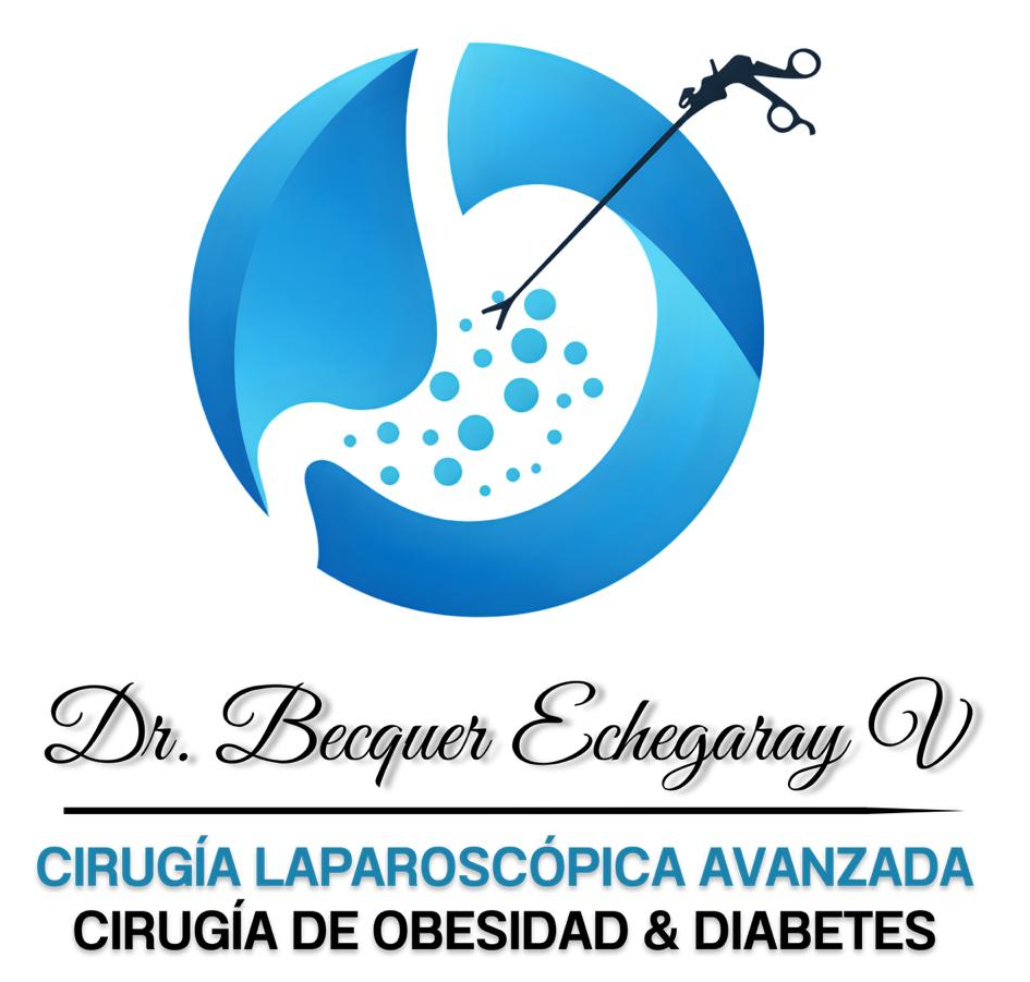 logo dr echegaray endoscopia